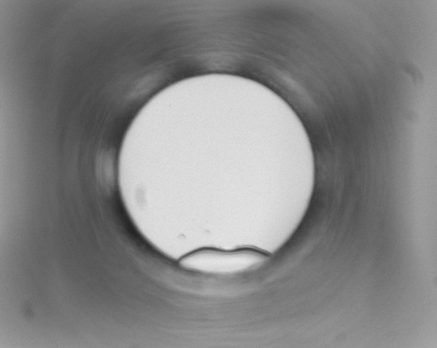 X0000115050028200911231203