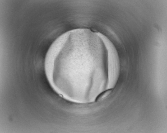 X0000115050029200911231203