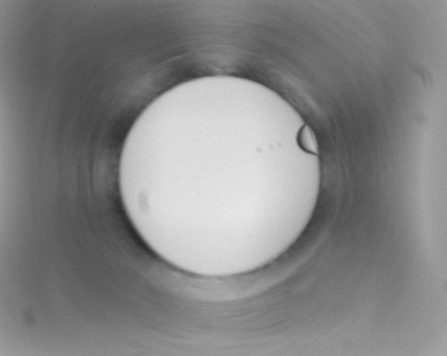 X0000115050030200911231203