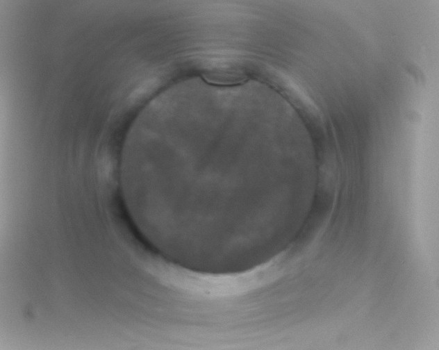 X0000115050031200911231203