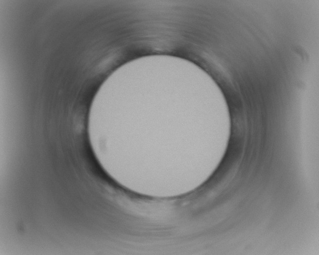 X0000115050032200911231203