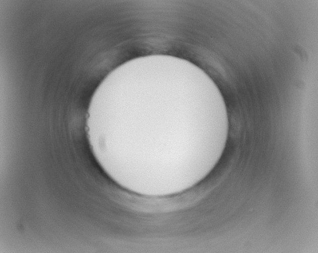 X0000115050034200911231203