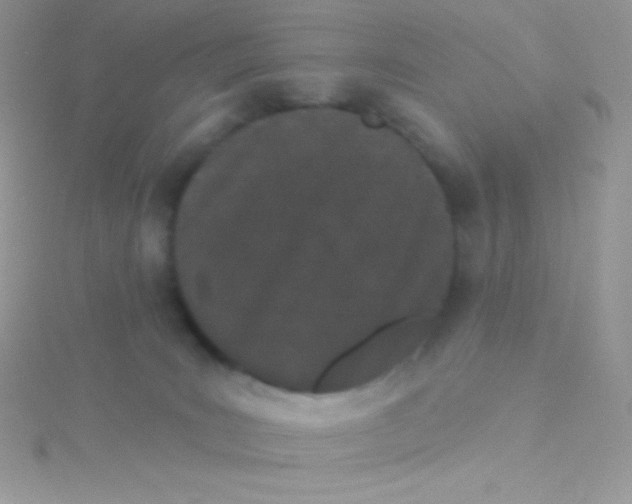 X0000115050035200911231203