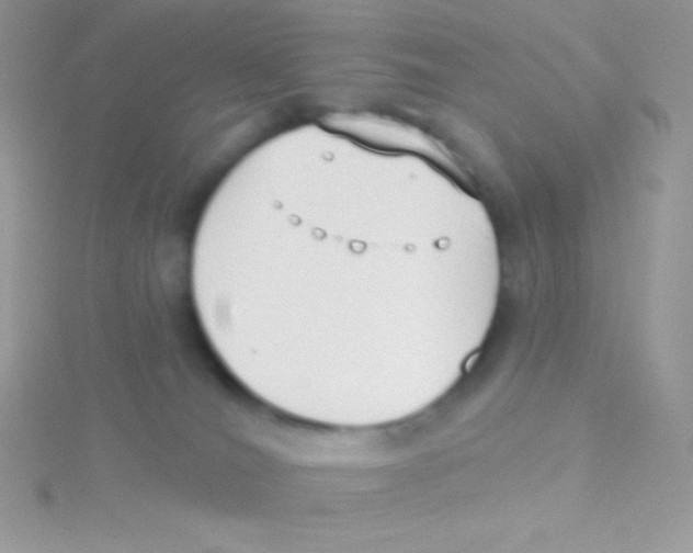 X0000115050036200911231203