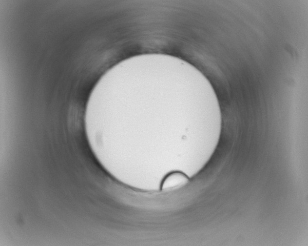 X0000115050038200911231203