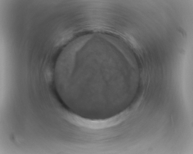 X0000115050039200911231203