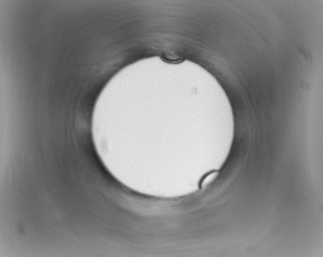 X0000115050040200911231203