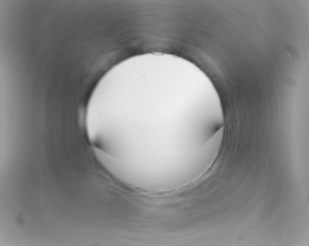 X0000115050041200911231202