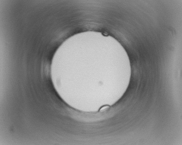 X0000115050042200911231202