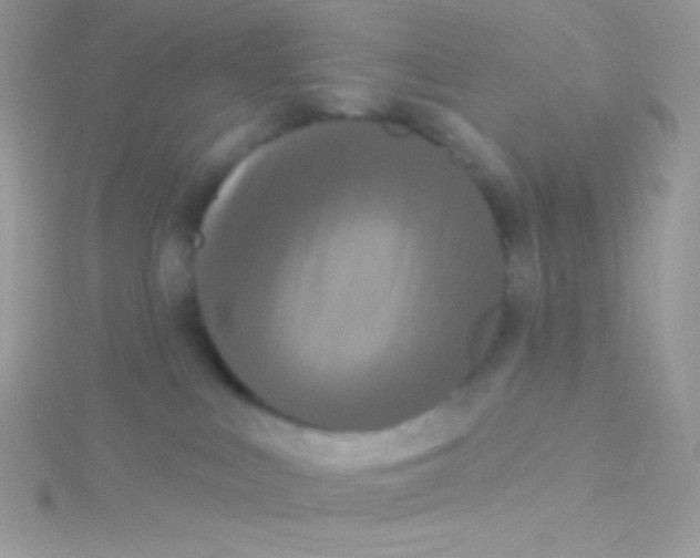 X0000115050043200911231202