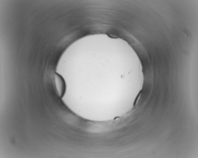 X0000115050045200911231202