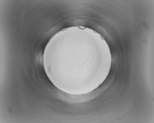 X0000115050046200911231202