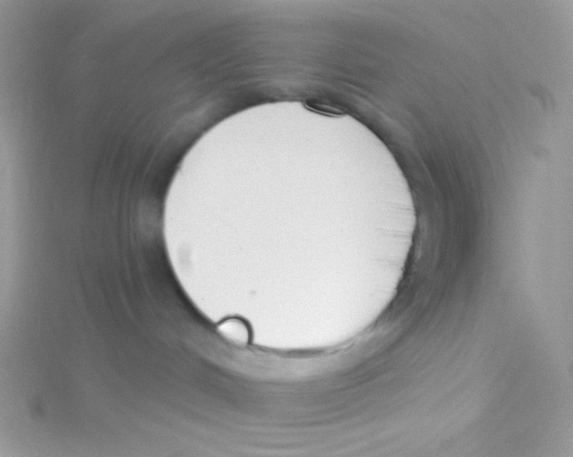 X0000115050048200911231202