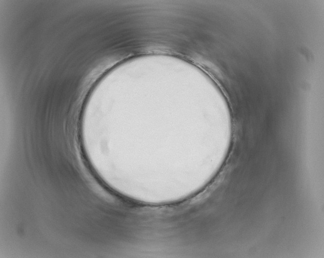 X0000115050049200911231202