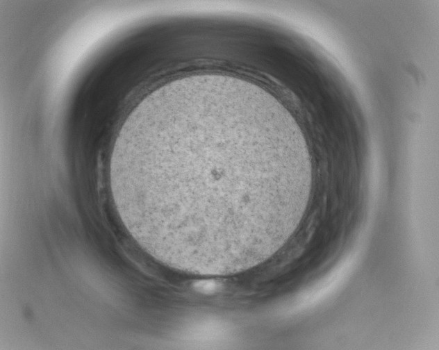 X0000115050050200911231202