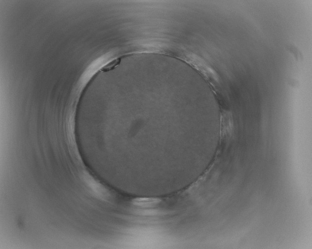 X0000115050051200911231202