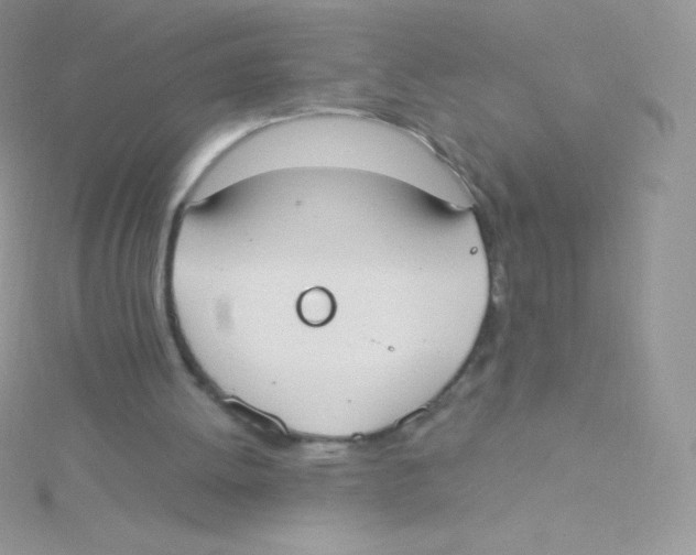 X0000115050052200911231202