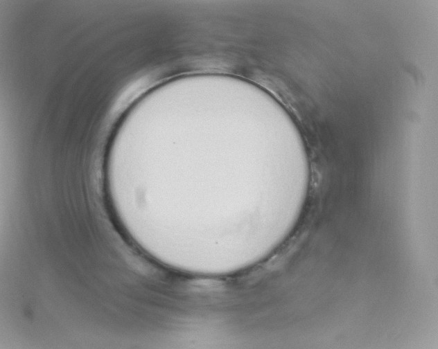 X0000115050053200911231202