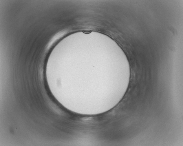 X0000115050054200911231202