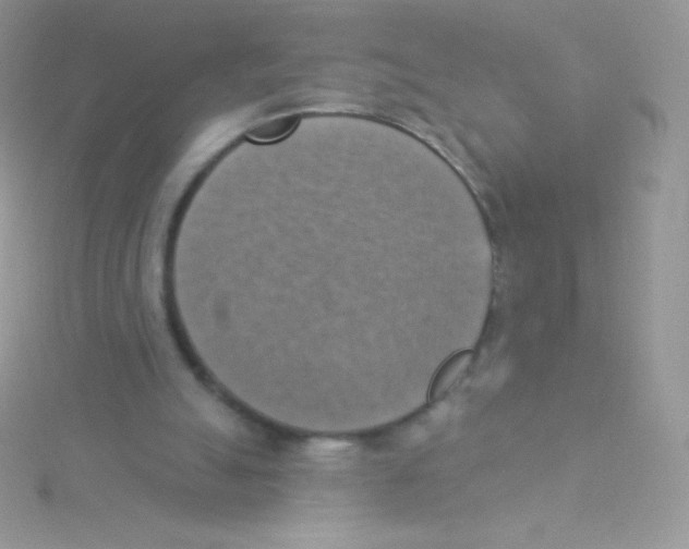 X0000115050055200911231202