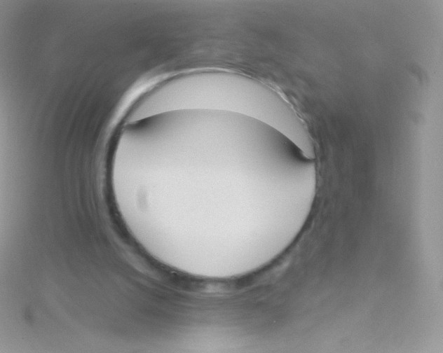 X0000115050056200911231202