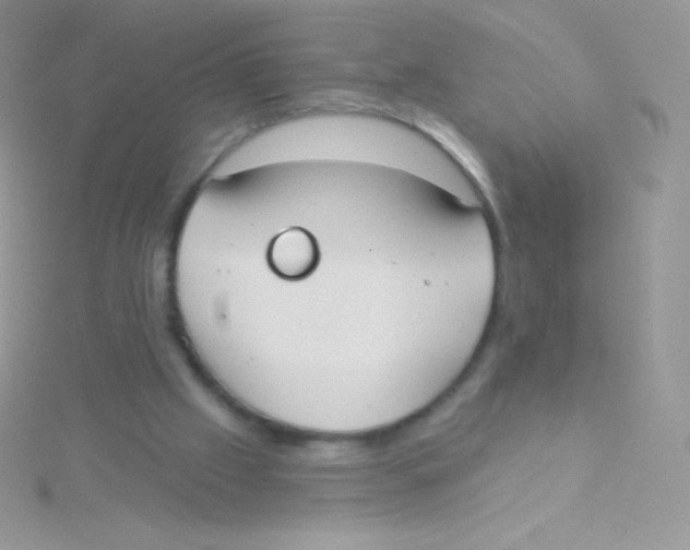 X0000115050057200911231202