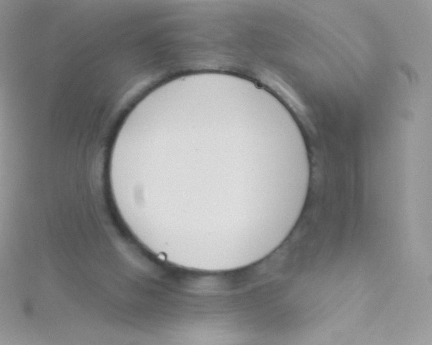 X0000115050058200911231202