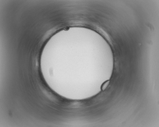 X0000115050059200911231202