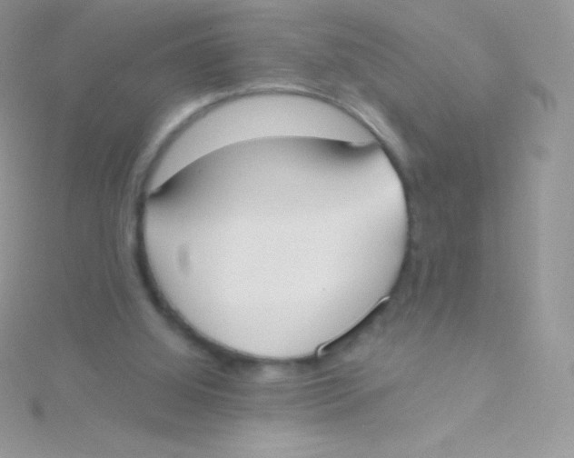 X0000115050060200911231202