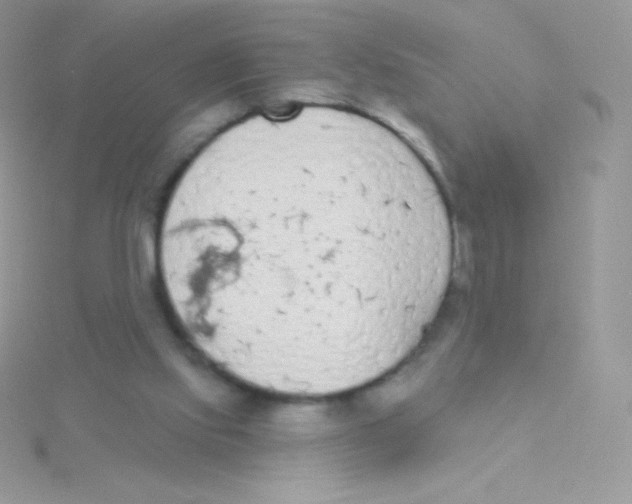 X0000115050061200911231202