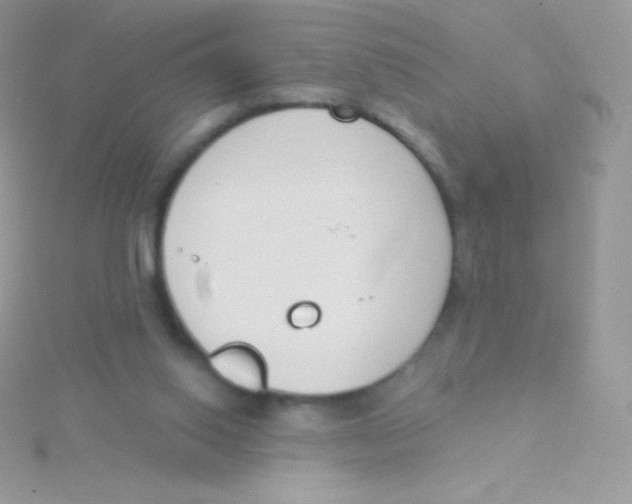 X0000115050062200911231202