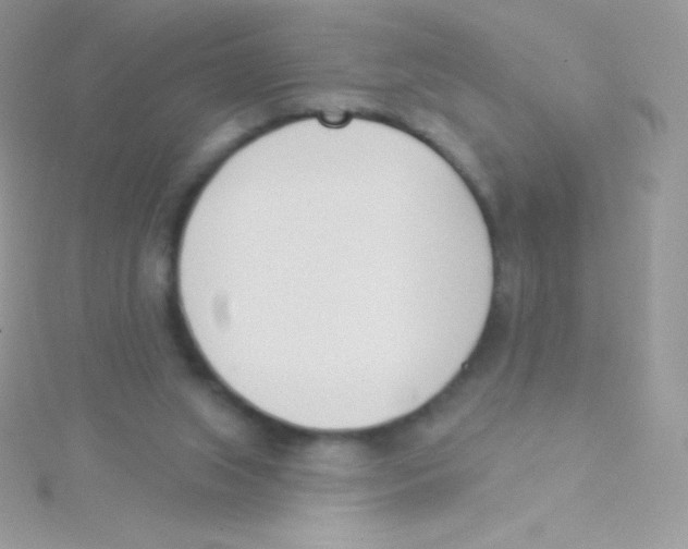 X0000115050063200911231202