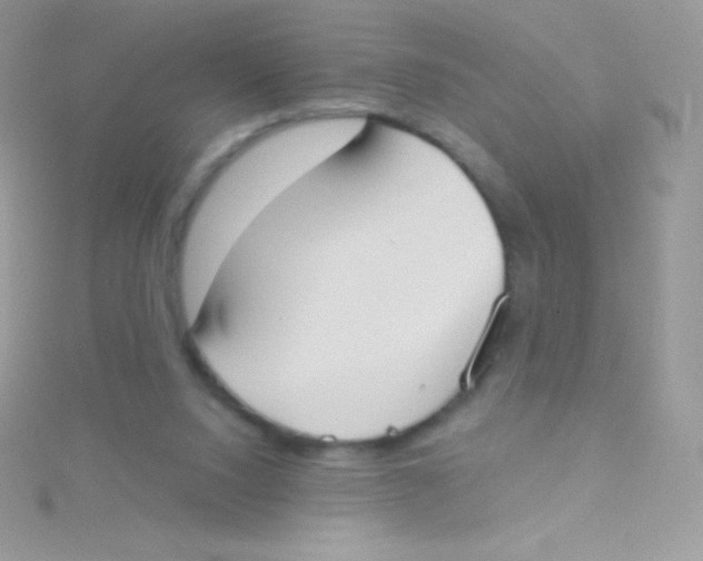 X0000115050064200911231202