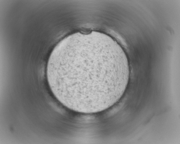 X0000115050065200911231202