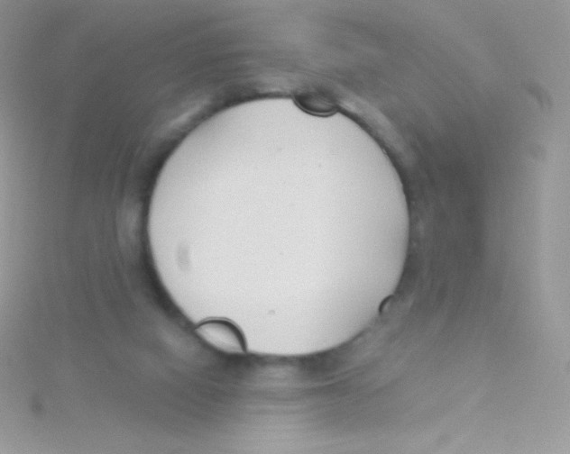 X0000115050066200911231202