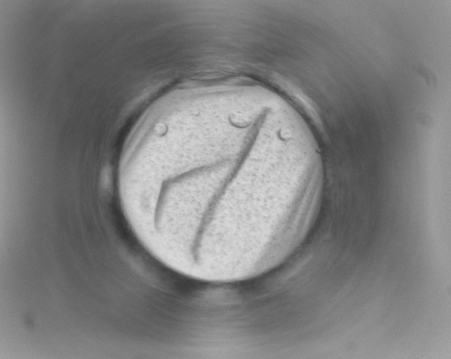 X0000115050067200911231202