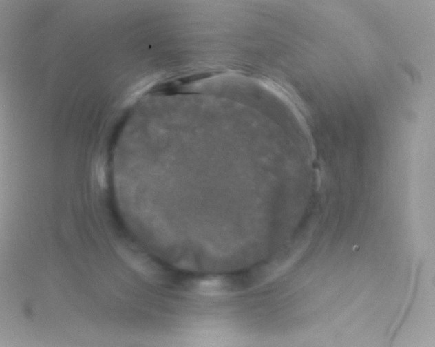 X0000115050068200911231202