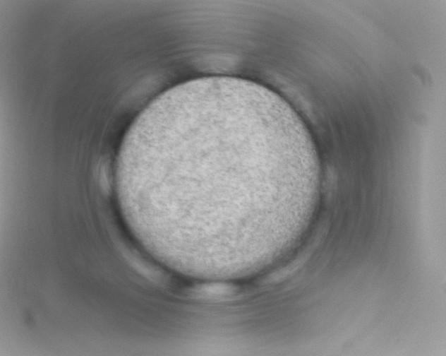 X0000115050069200911231202