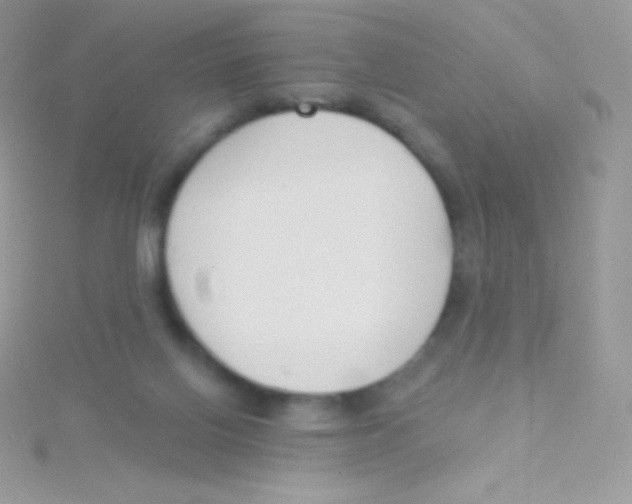 X0000115050070200911231202