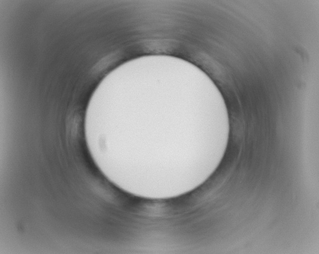 X0000115050071200911231202