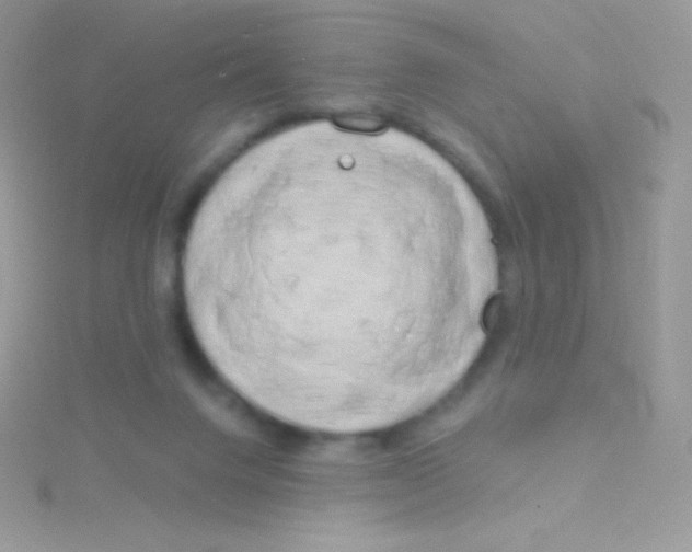 X0000115050072200911231202