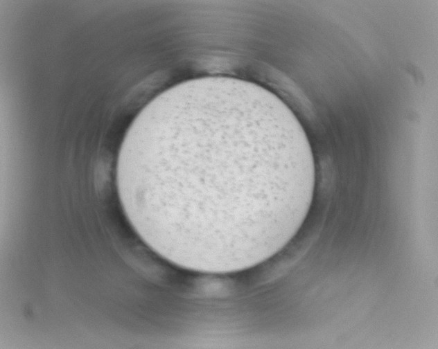 X0000115050073200911231202