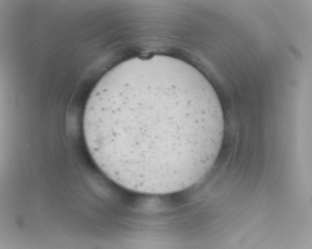 X0000115050074200911231202