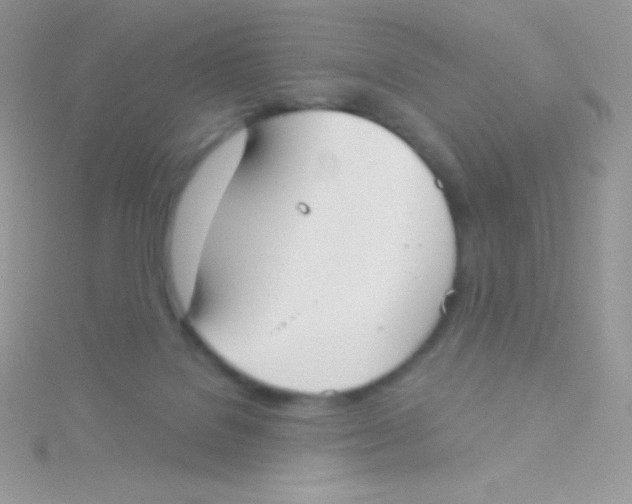 X0000115050076200911231202