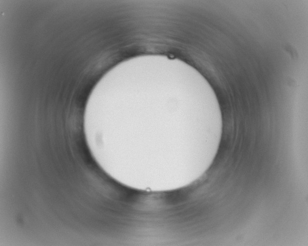 X0000115050078200911231202