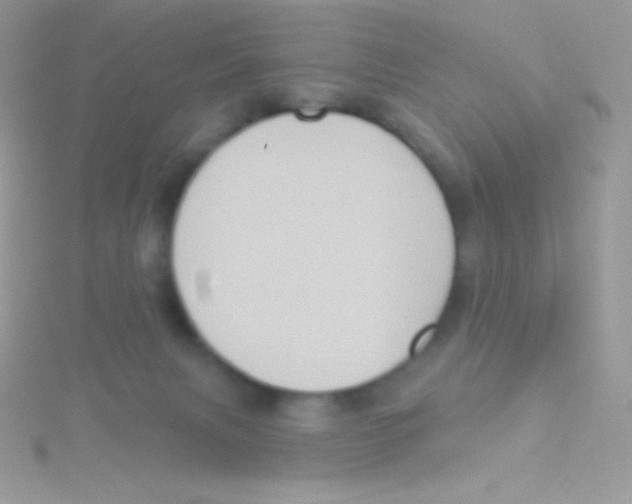 X0000115050079200911231202