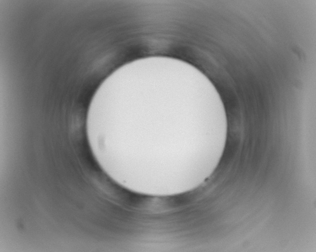 X0000115050082200911231202