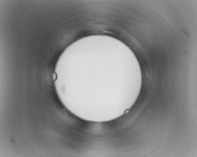 X0000115050083200911231202