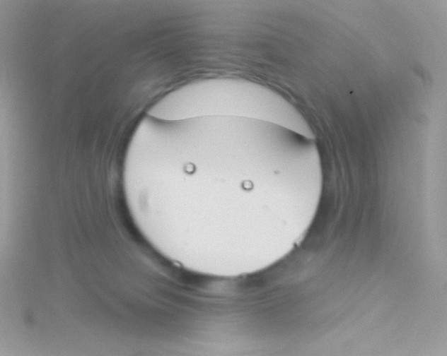 X0000115050084200911231202