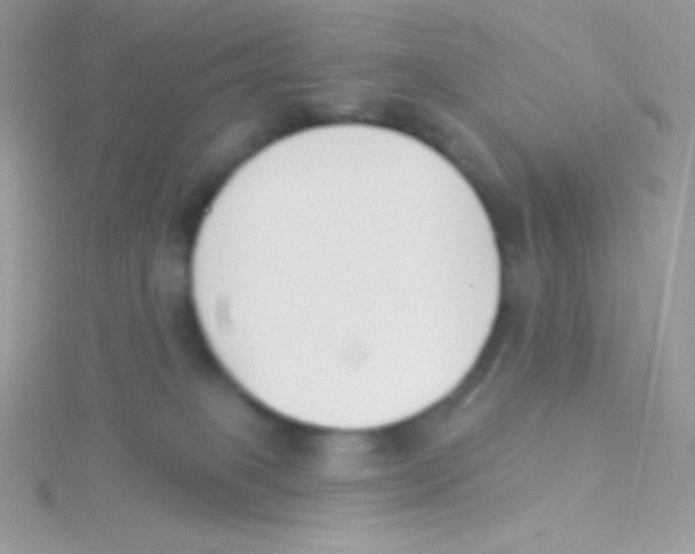 X0000115050085200911231202